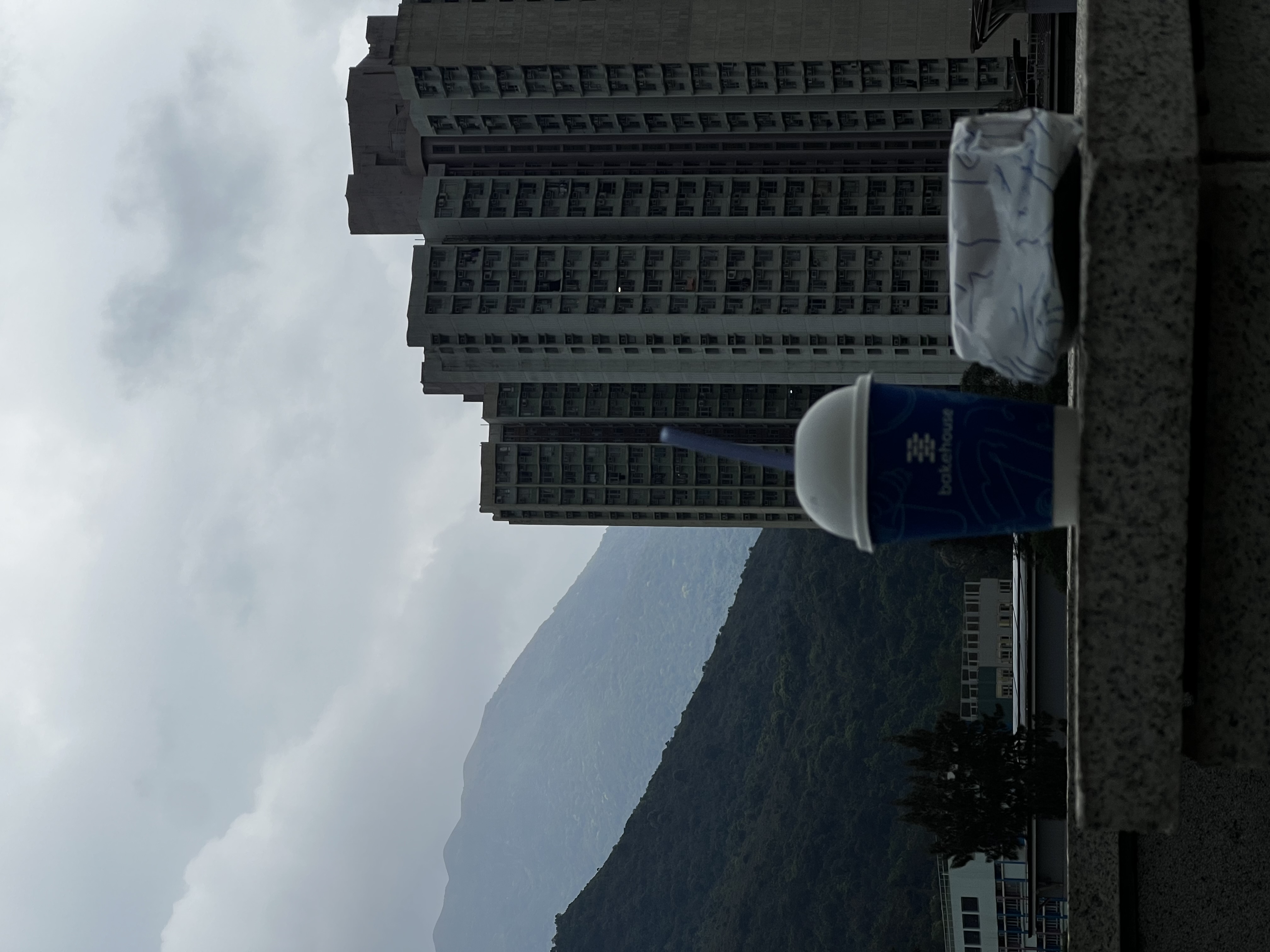 roof2